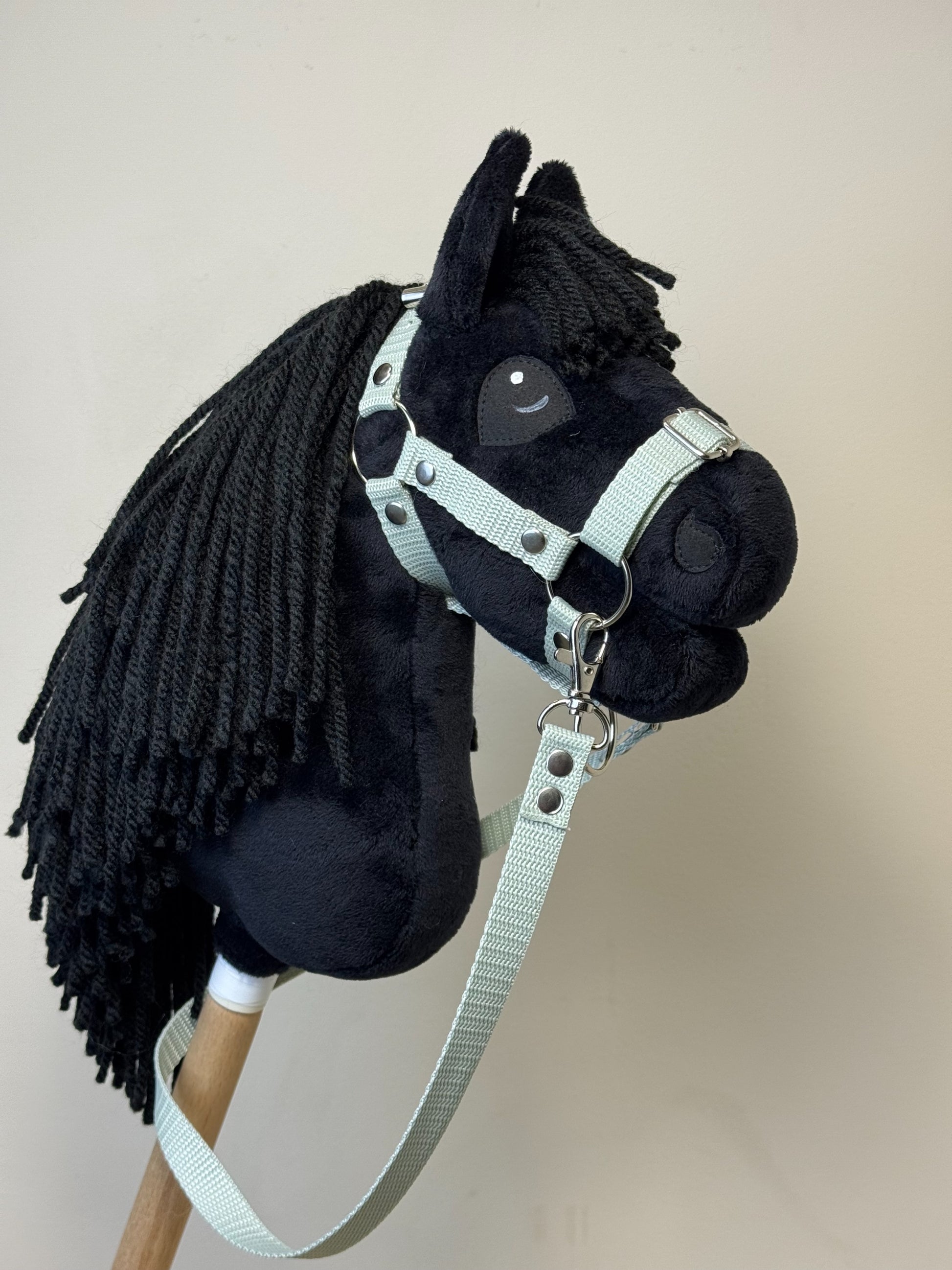 317ecbd5cba8721e981cfdd6dbe24a78