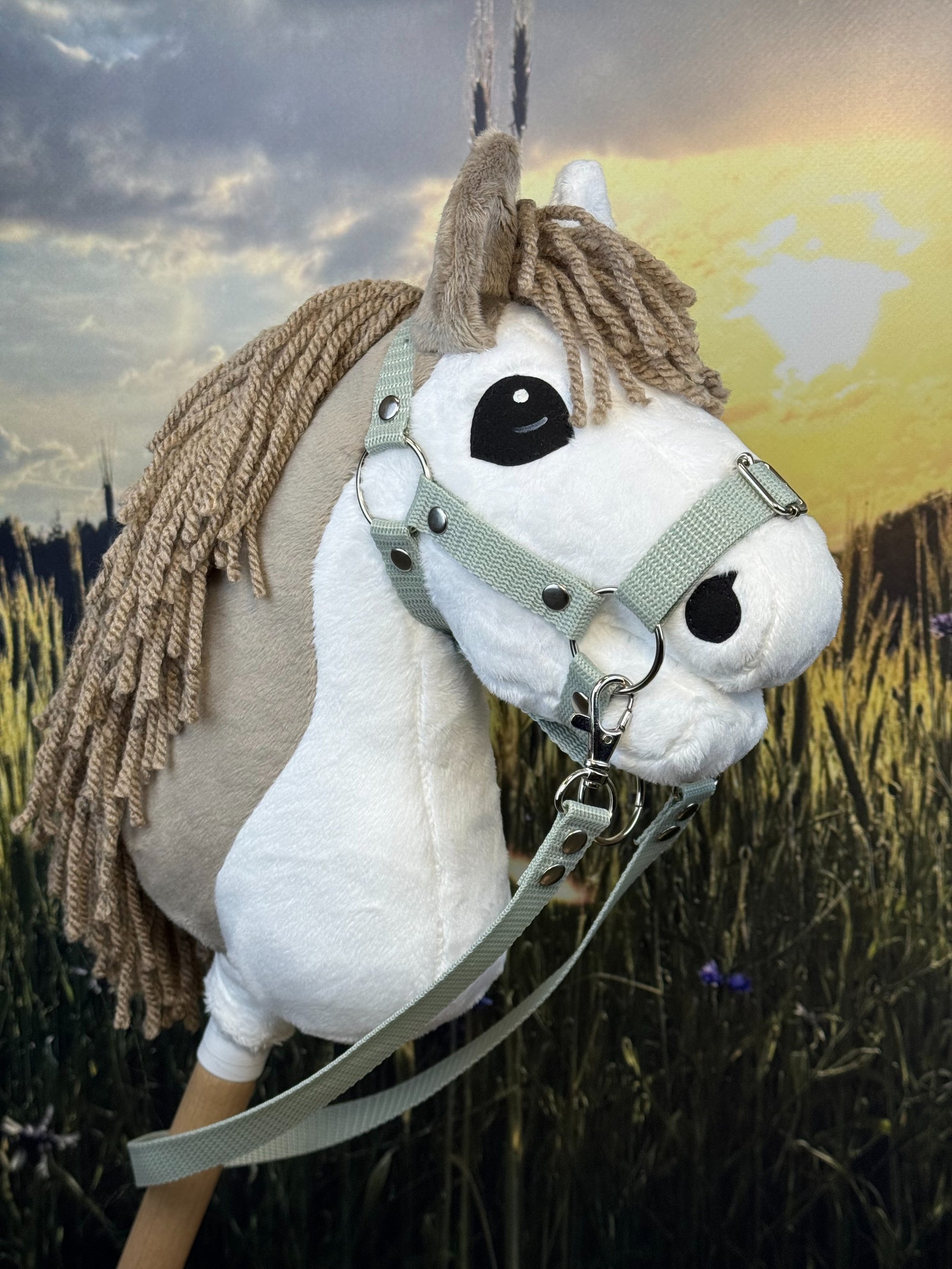 2b352cc6abaa4501acbe257205ecae01