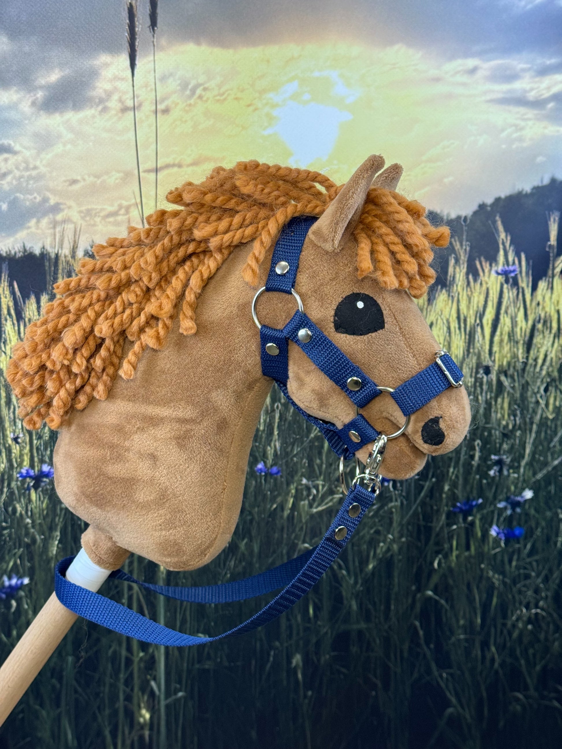 1c1bd98dd9f875bd128a3961534a1a0f