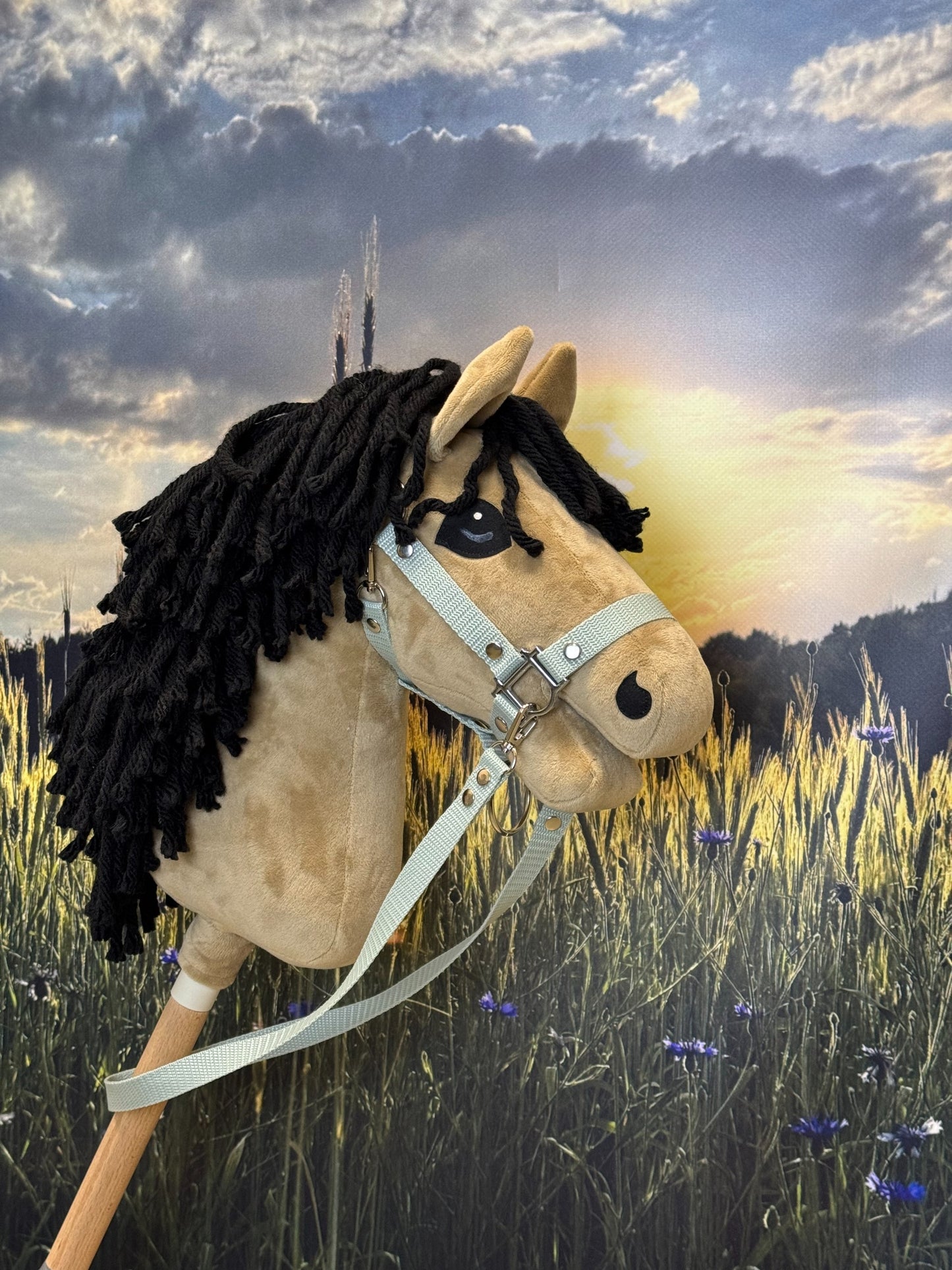 b0b7369d7320a08454c0006826e7eae2