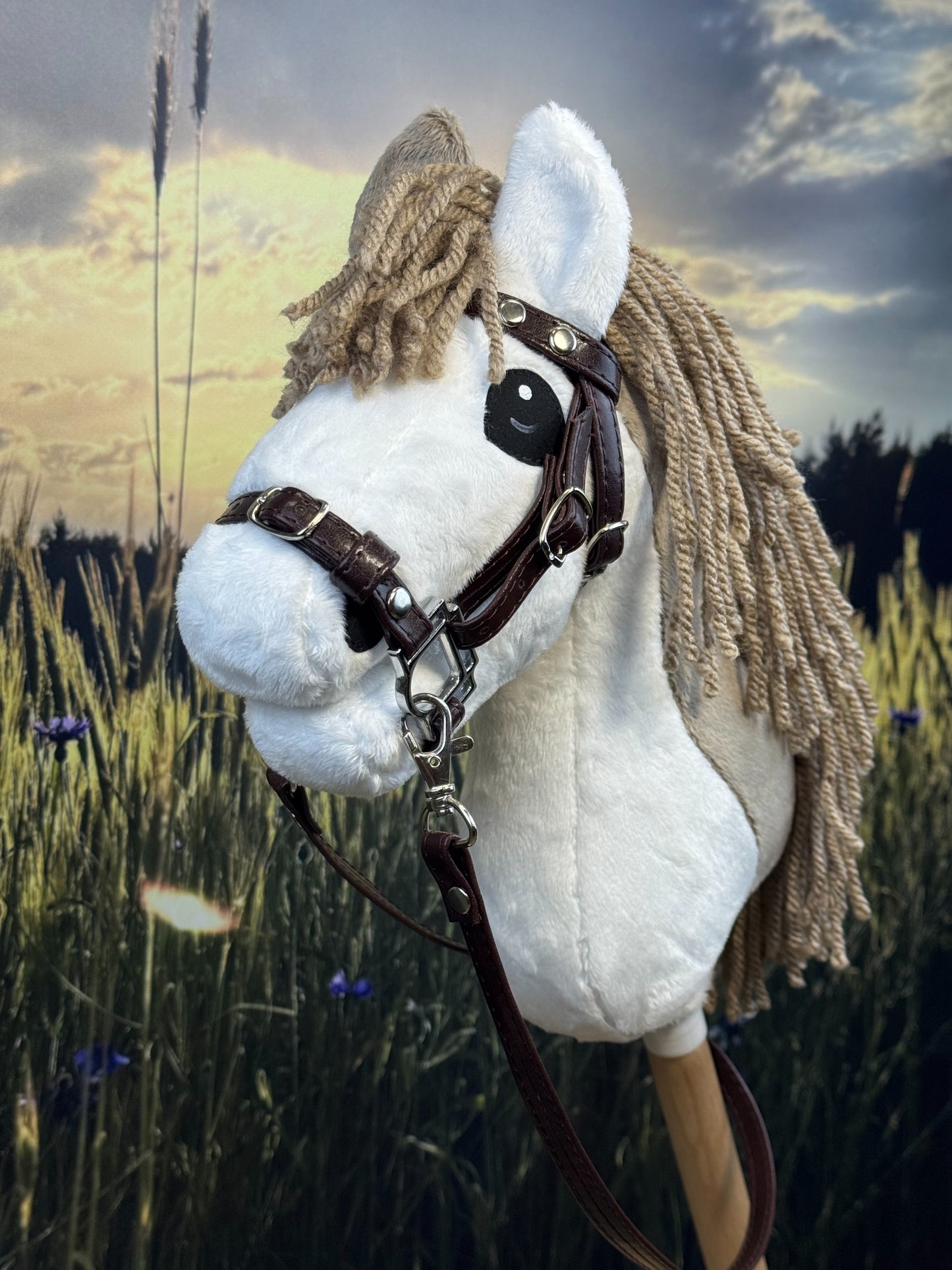 ad89ac7a82579186ccda635d45cdb312