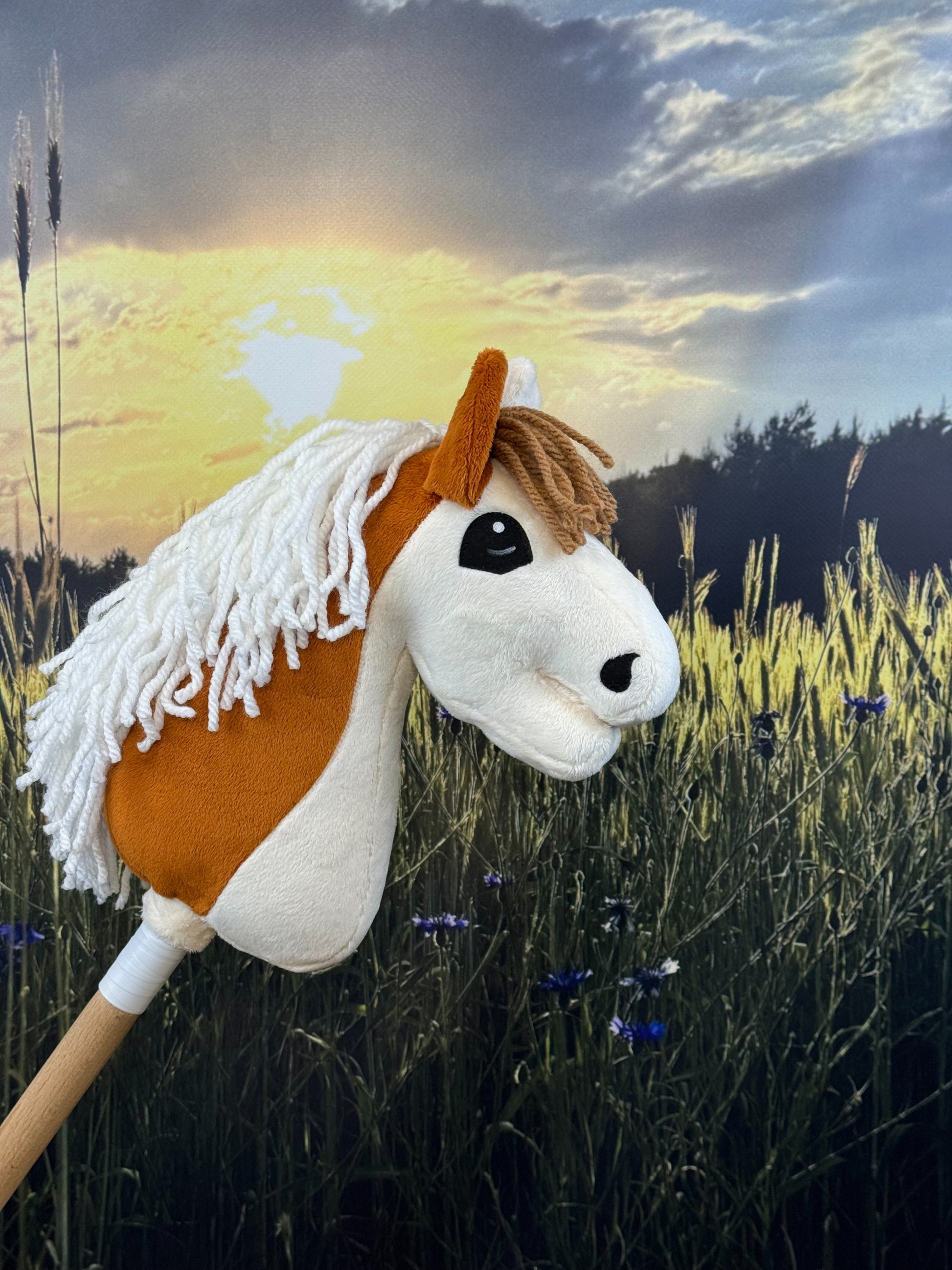 57c9e9622b01ecdc27cd7b83bb85ed1c