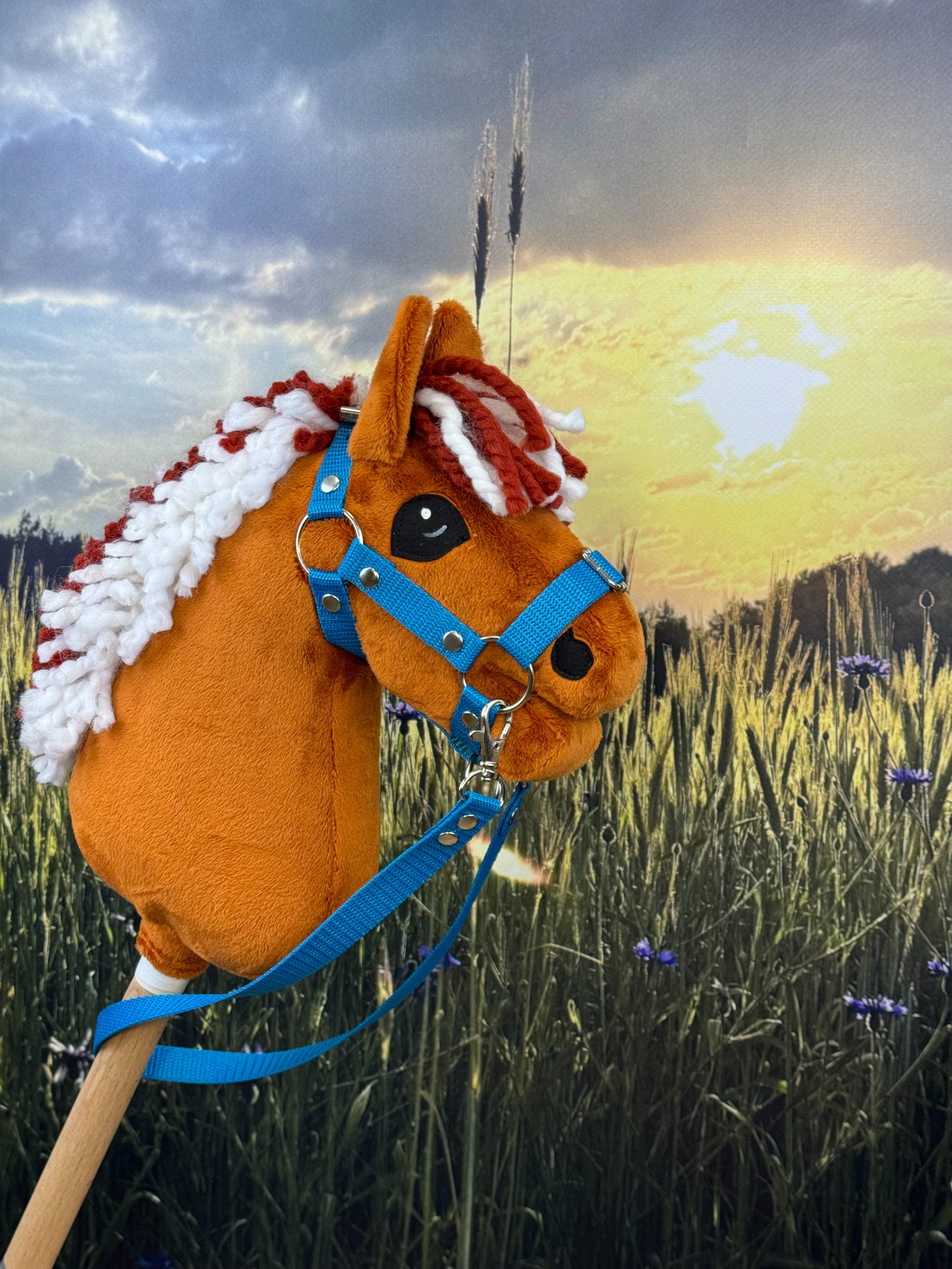 47deb5220a745591c4f73f9cee8c96d1