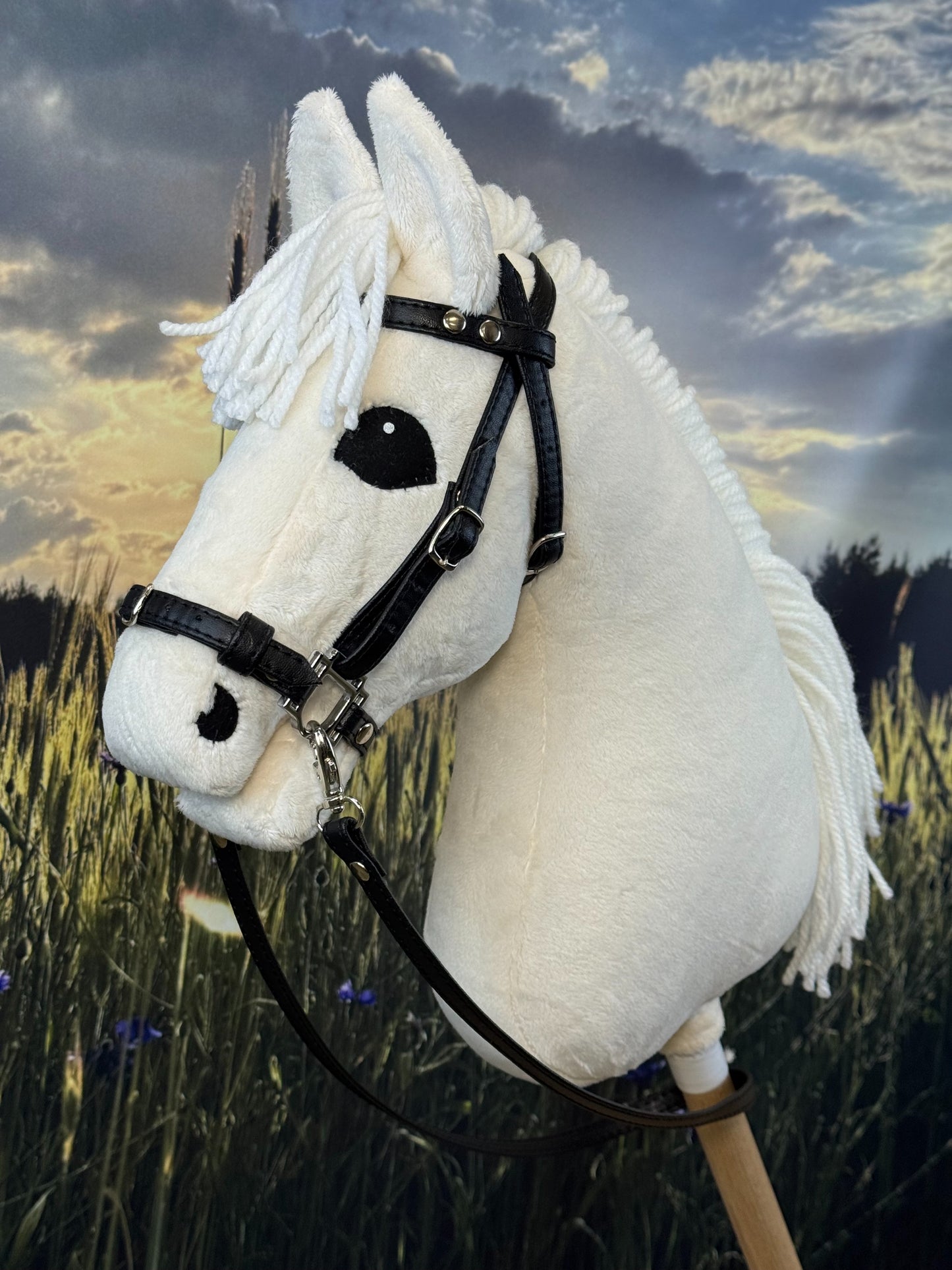 bd7e99832c88b6ae59dad787abb8ce43