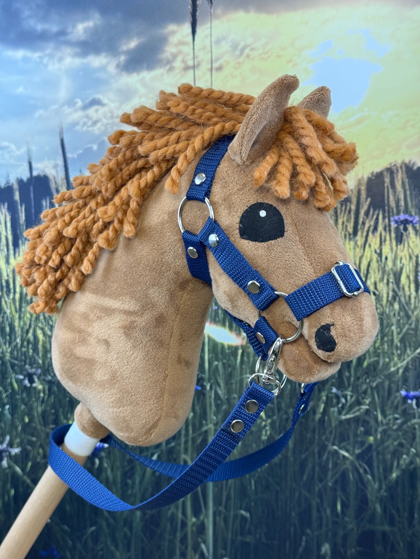 854711b68a543ab387c7e042e40dd207