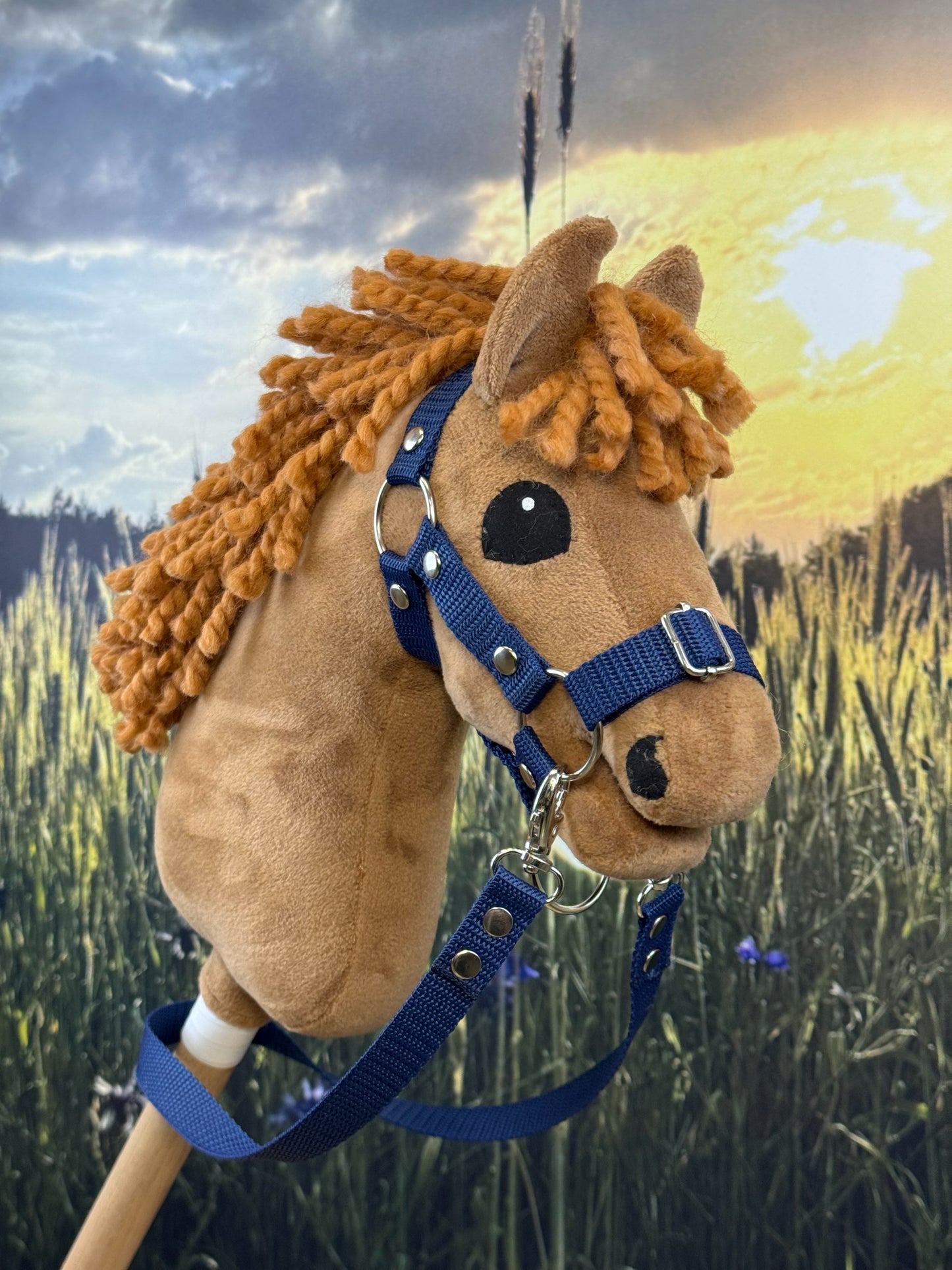 b3f7c1d5264ea20355cb3f655009c828