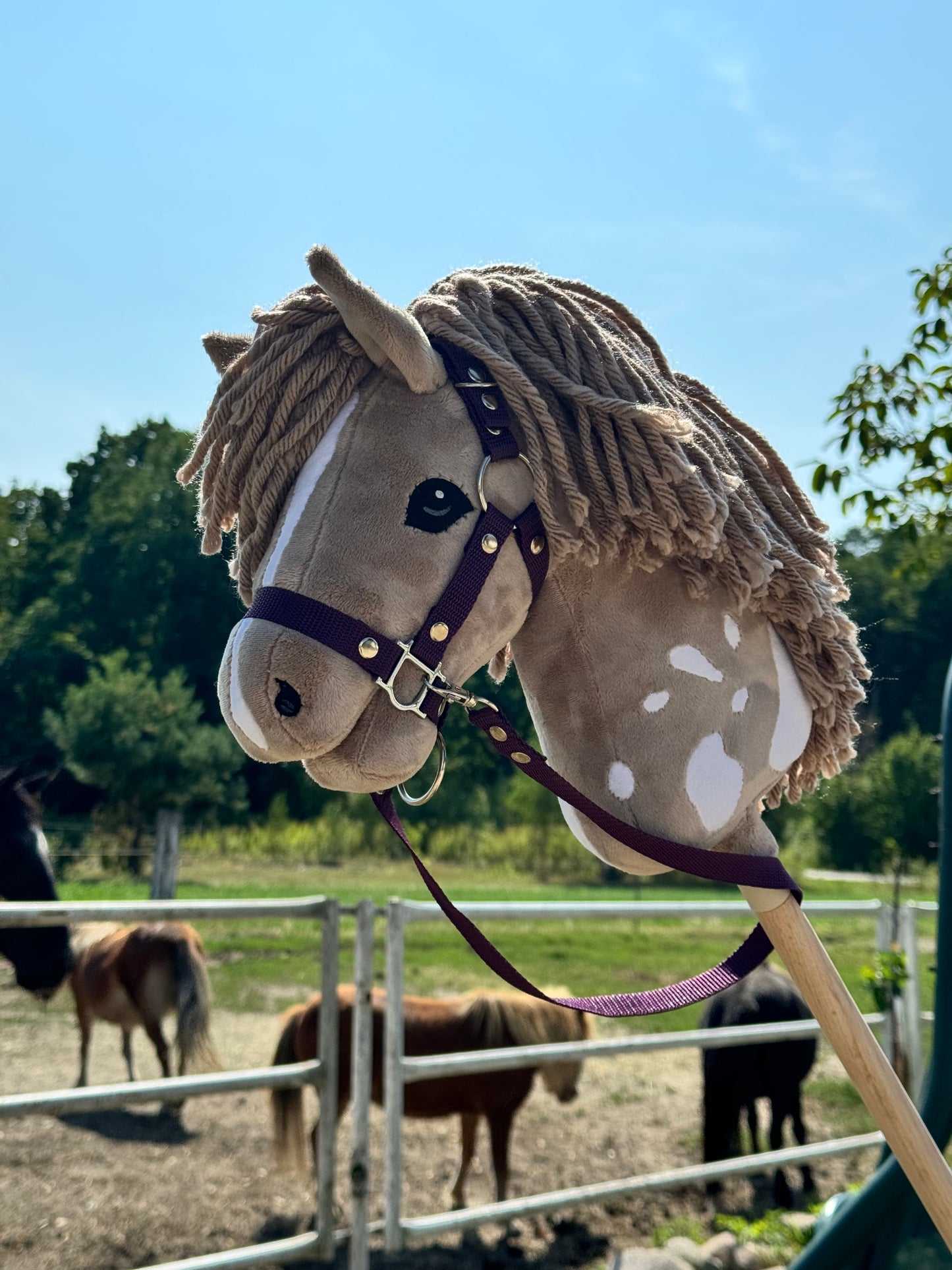 bee4e8e2adfdefc9d438d96b7b37654a