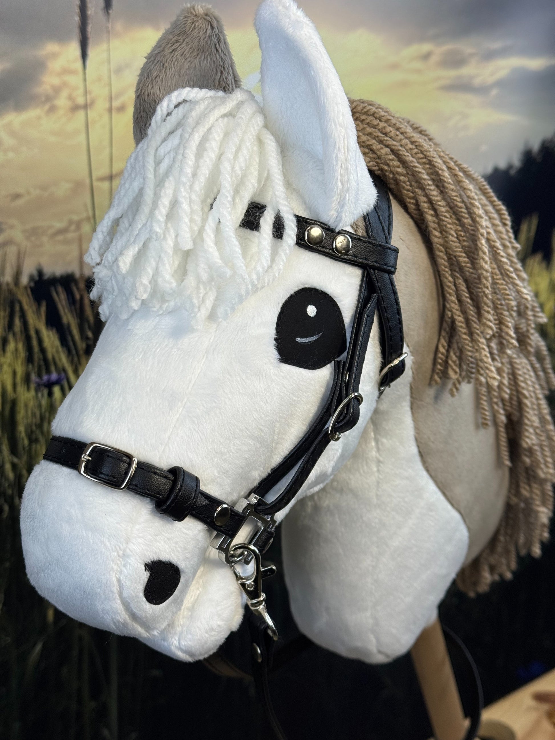 a5c74696a17090e7a3eaabd8a05e4d6d