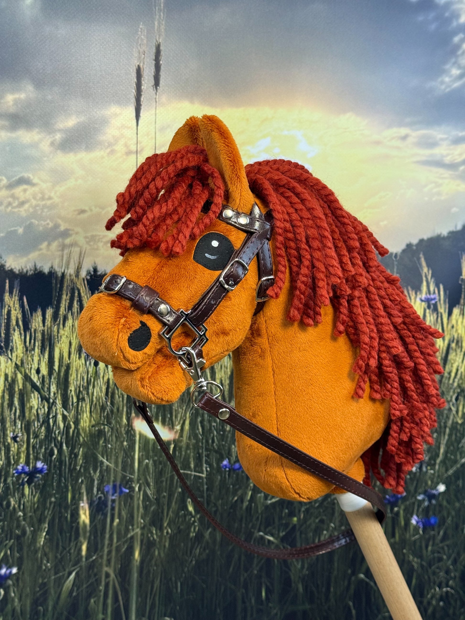 b4032c4ddd58bfe72f13613d20c85380