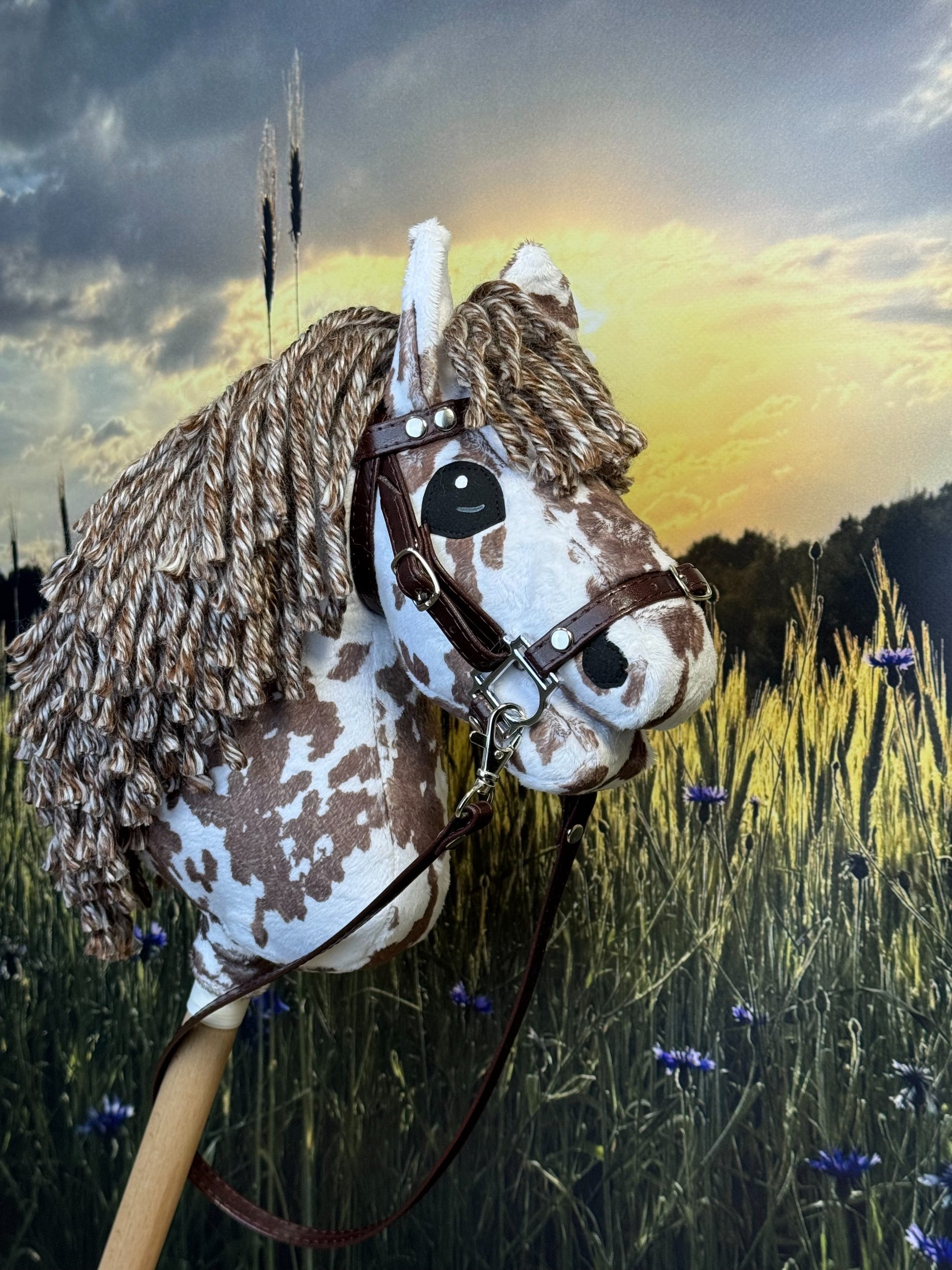 6a128d69d5f6d5daaa17e9c0bd23d3ef