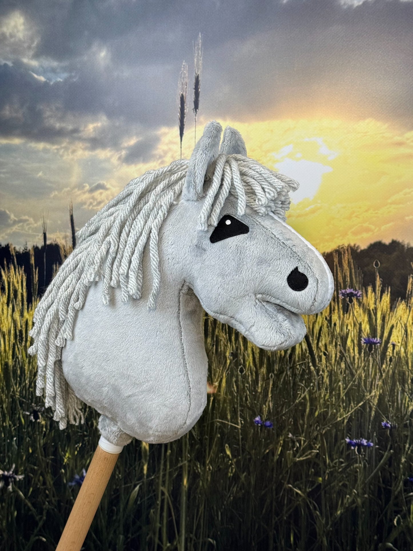 638714516c592e19a928c231d818df88