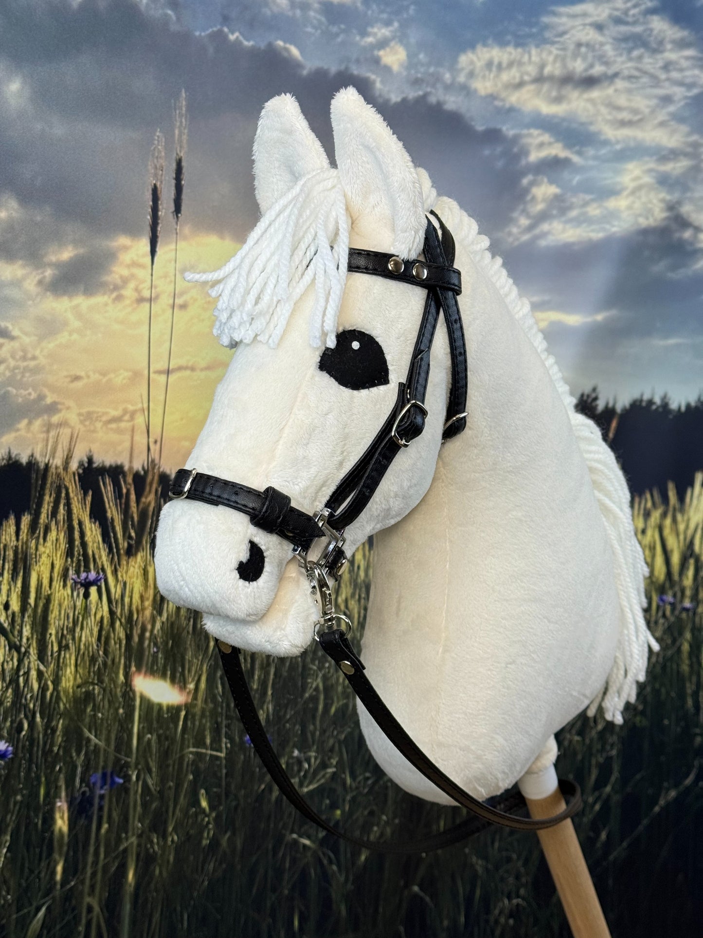 805ff588159407911a80d16688c17db9