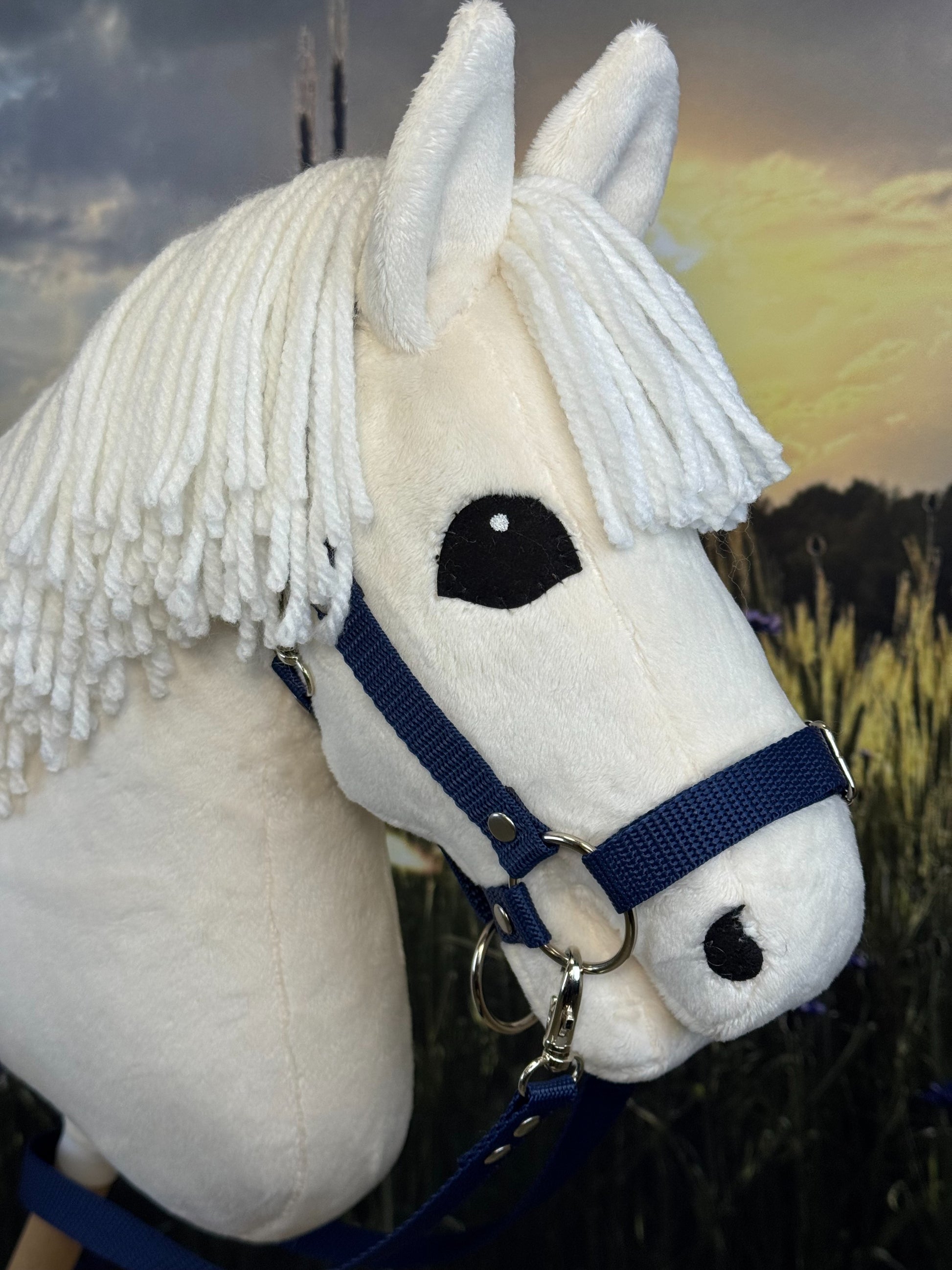 31cdebfeb9241ebe68c179a732bb6af9