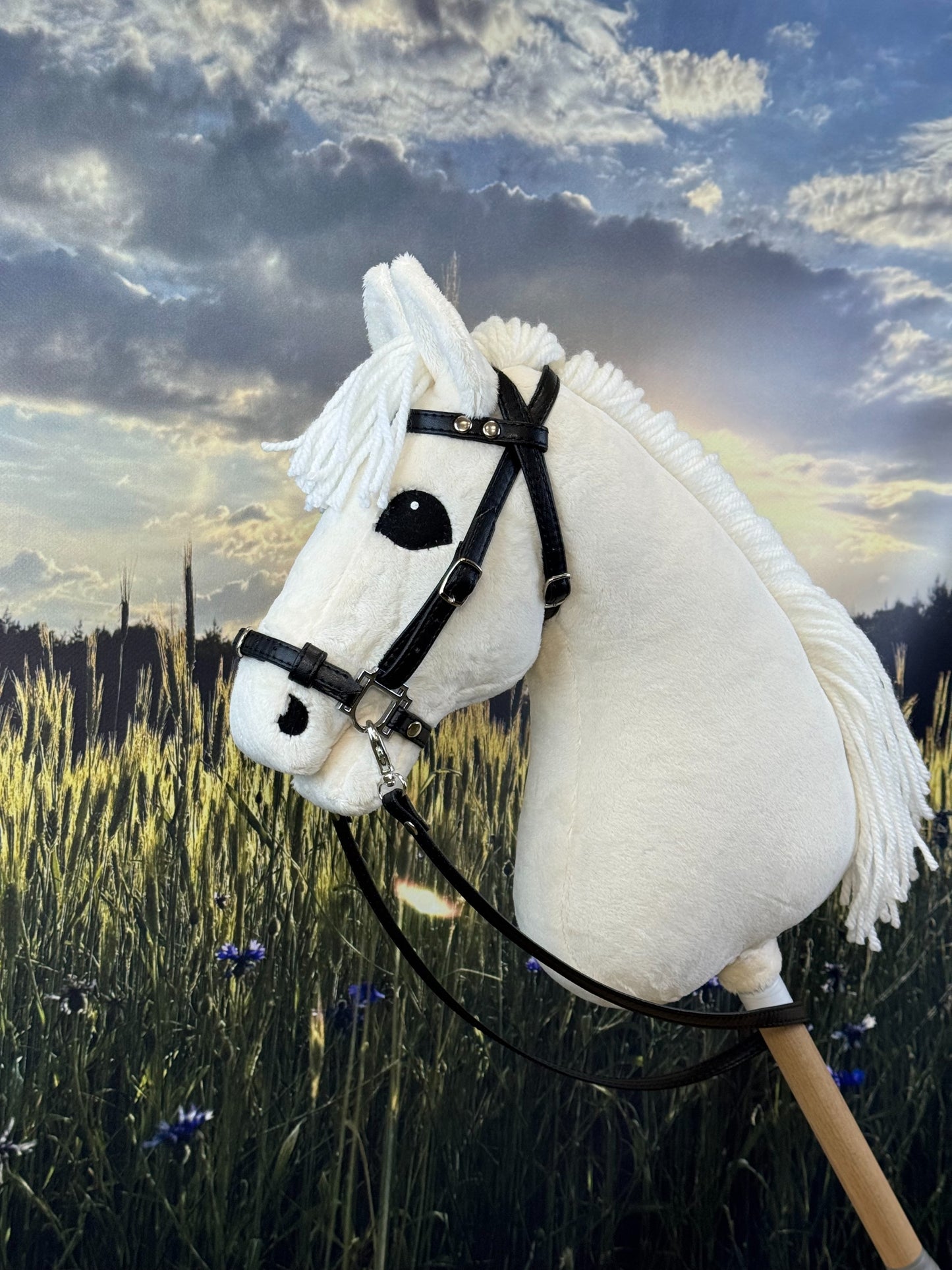 5dc6fb8a8e6fec23d060ddc8340cde09