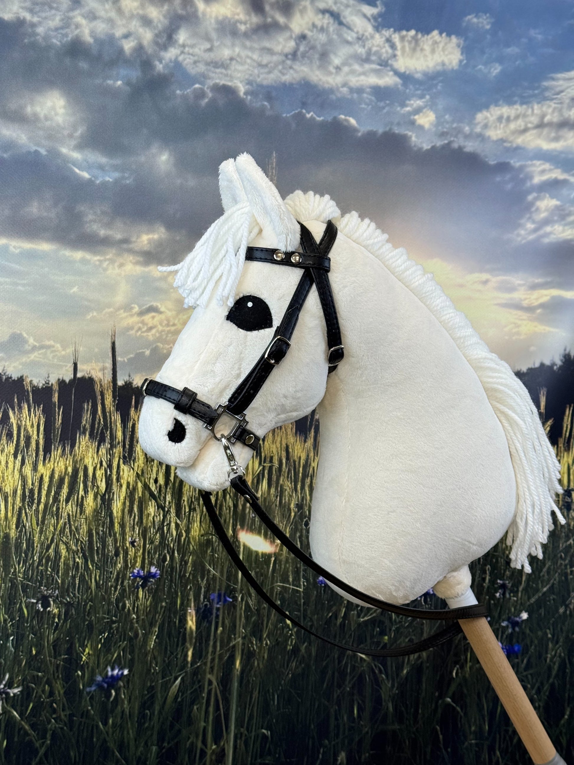 5dc6fb8a8e6fec23d060ddc8340cde09