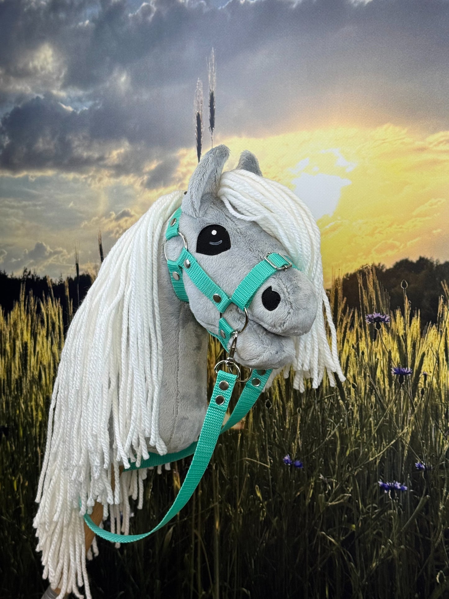 a65f9c831b06029615be3438fe4f15c1