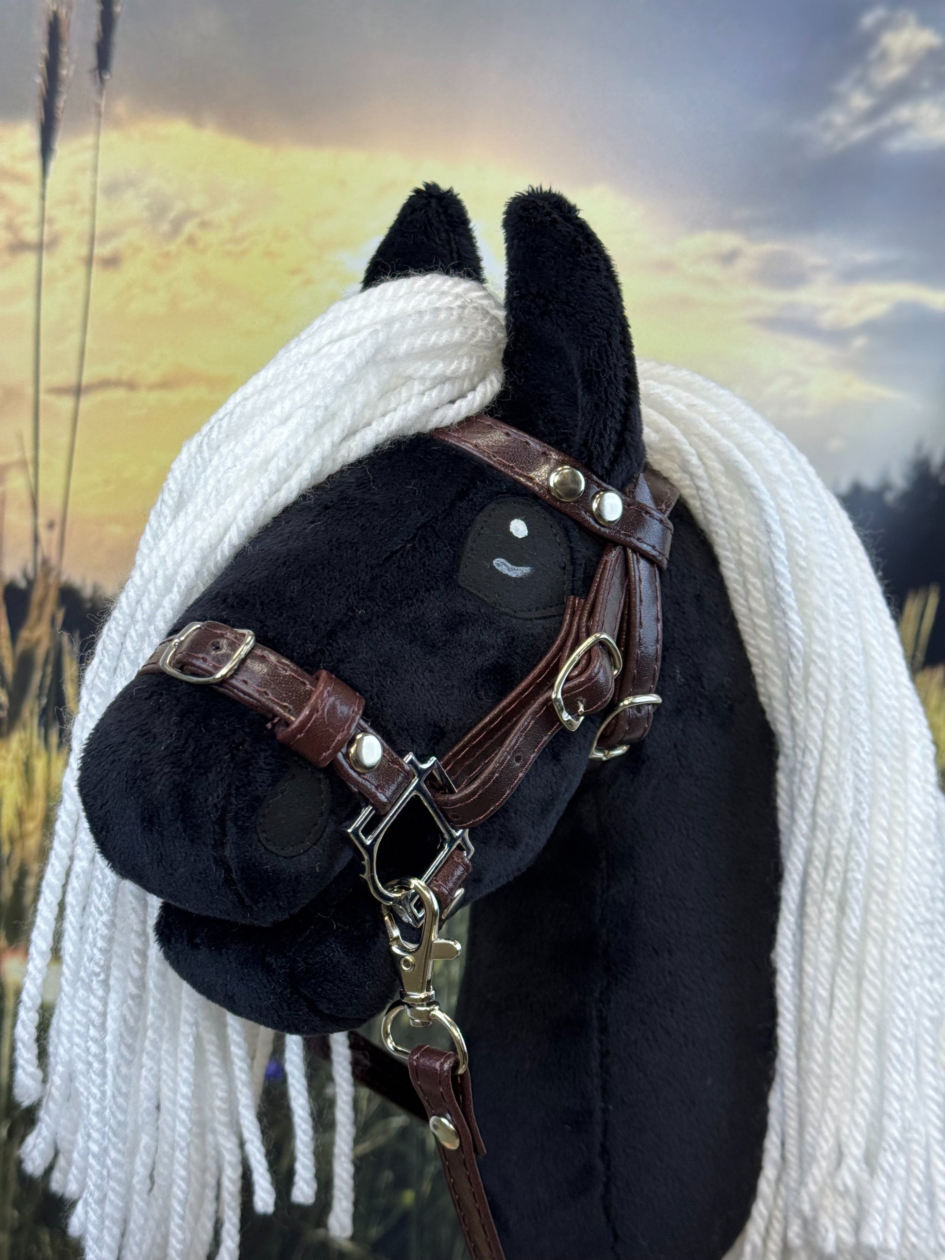 a8456fec657f270ba02664abcb23d5f4