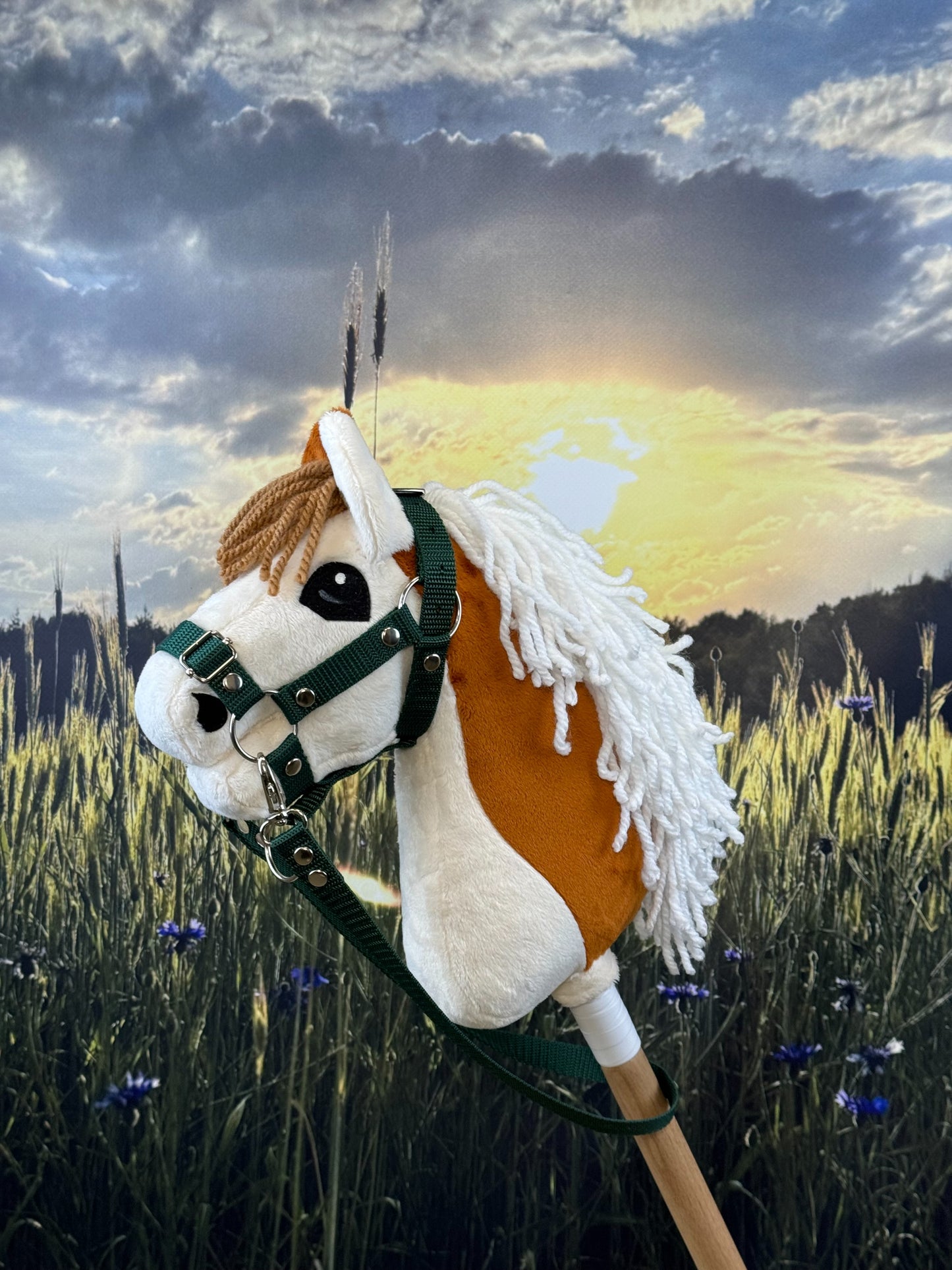 7e171ea0cda75999ea8cc9158d06aa87