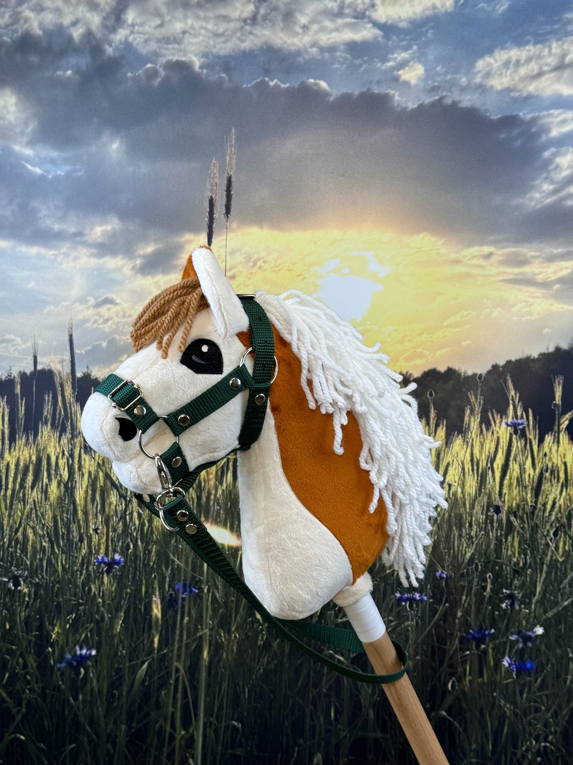 7e171ea0cda75999ea8cc9158d06aa87