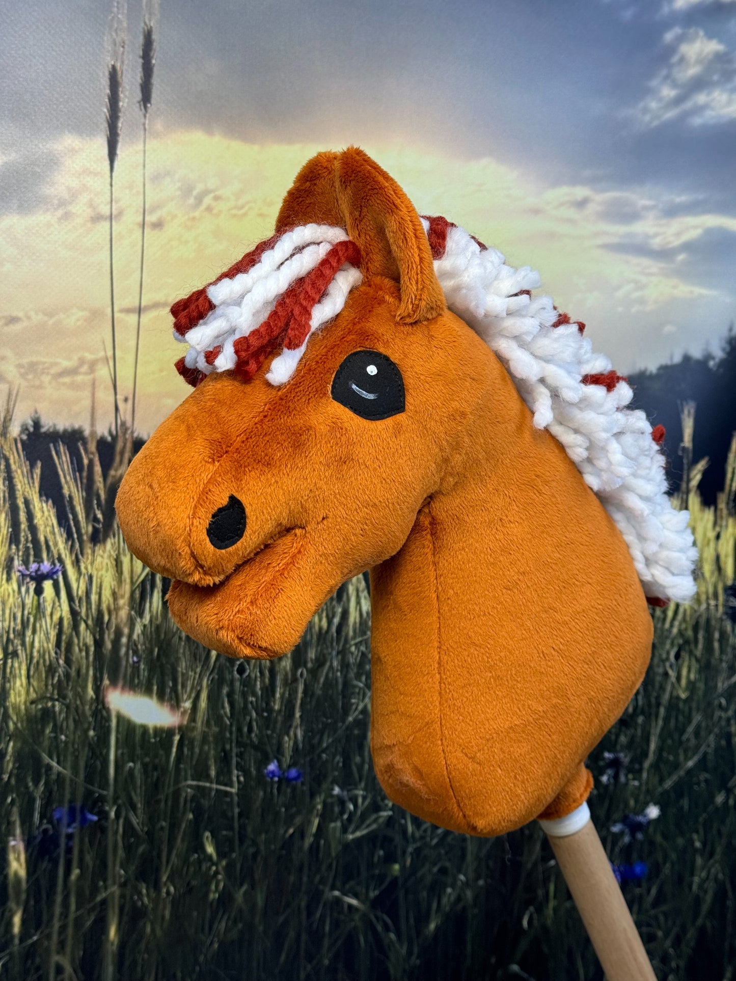 613f2113653506ab716f4396d59349af